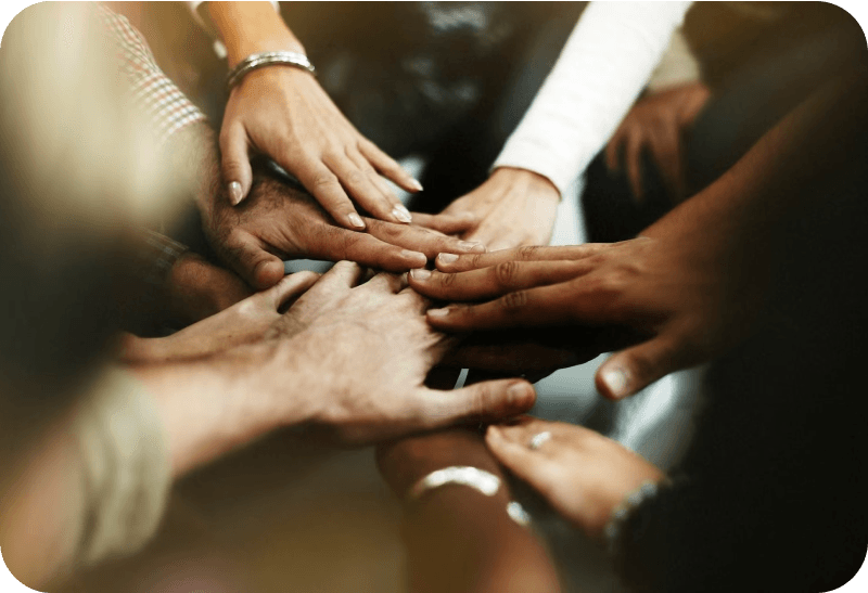 Social Sustainability service