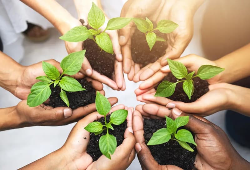 Environmental Sustainability service