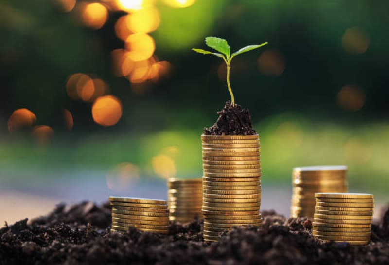 Economic Sustainability service